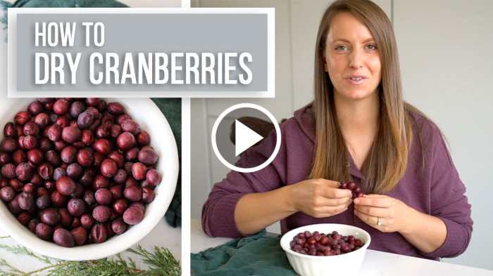 How to make dried cranberries for decoration